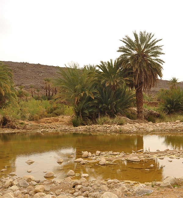 La Grotte des Ambassadeurs-Ajjer immersion