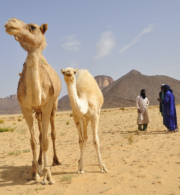 La Grotte des Ambassadeurs-Ajjer immersion